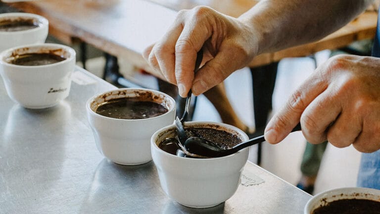 Coffee Courses for Coffee Professionals