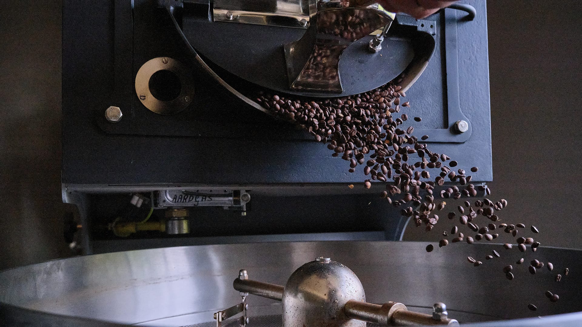 Coffee Courses for Coffee Professionals